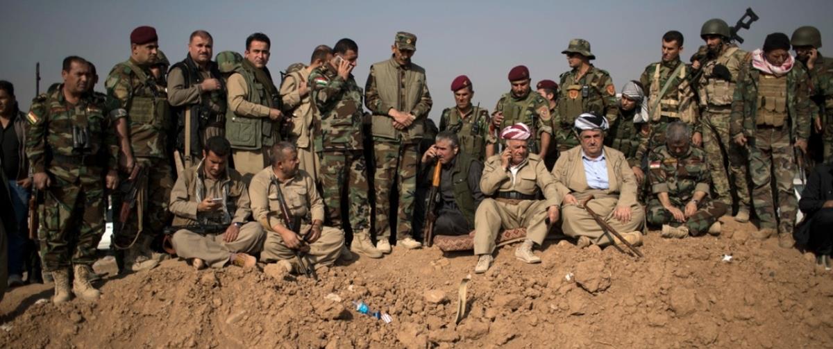 5419019910387486 cats