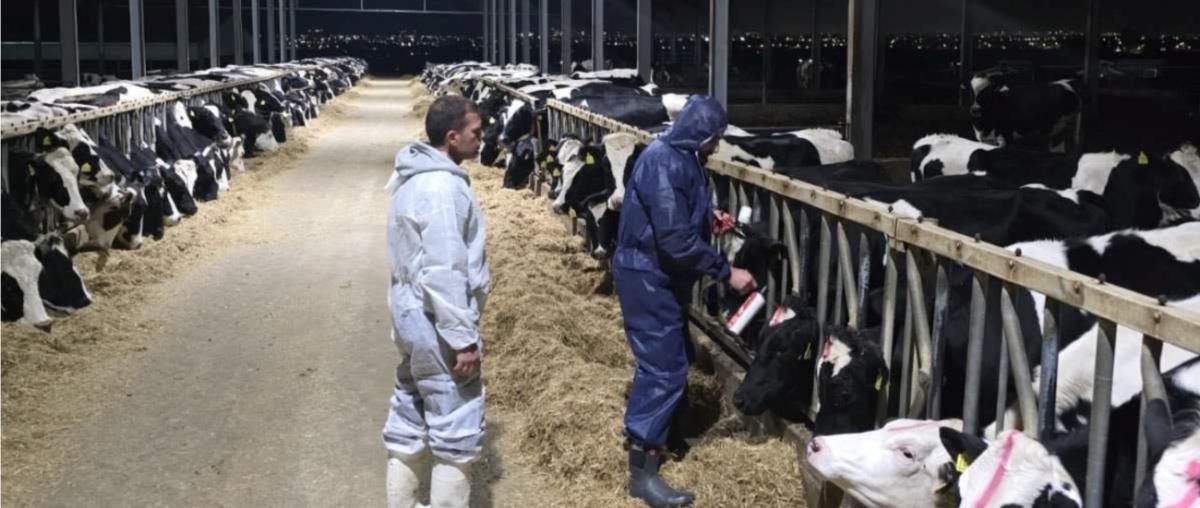 5419333060089455 f40100aa-09a3-4dda-9cd4-9238b6437923 mixcollage-27-feb-2026-08-45-am-6431