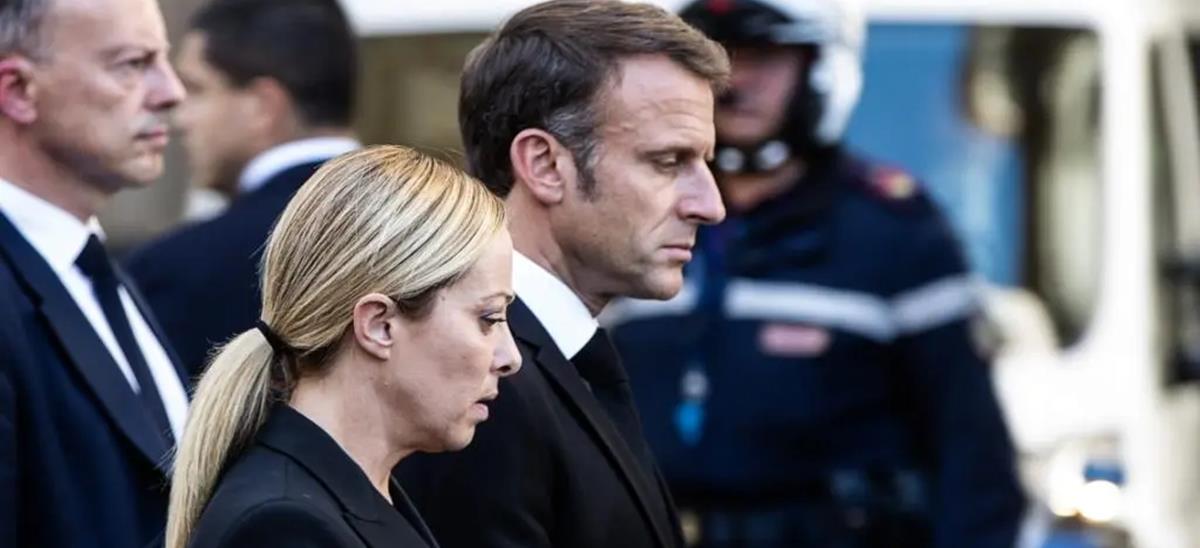 5419550522726069 cats