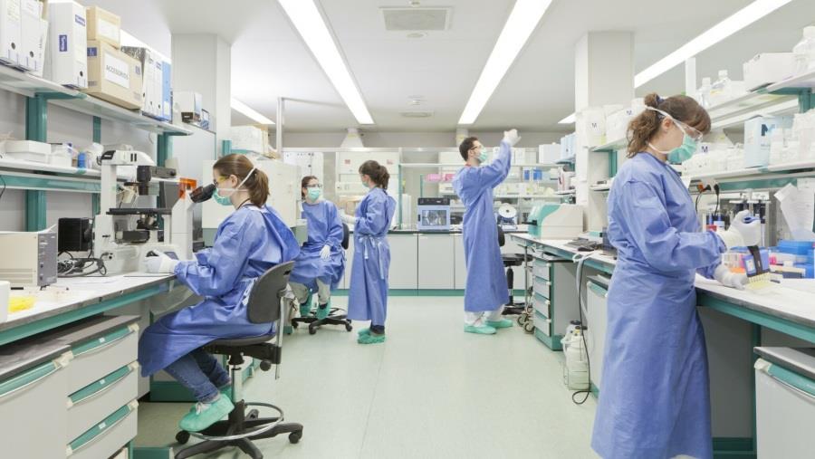 5419596557326527 research-2048x1353