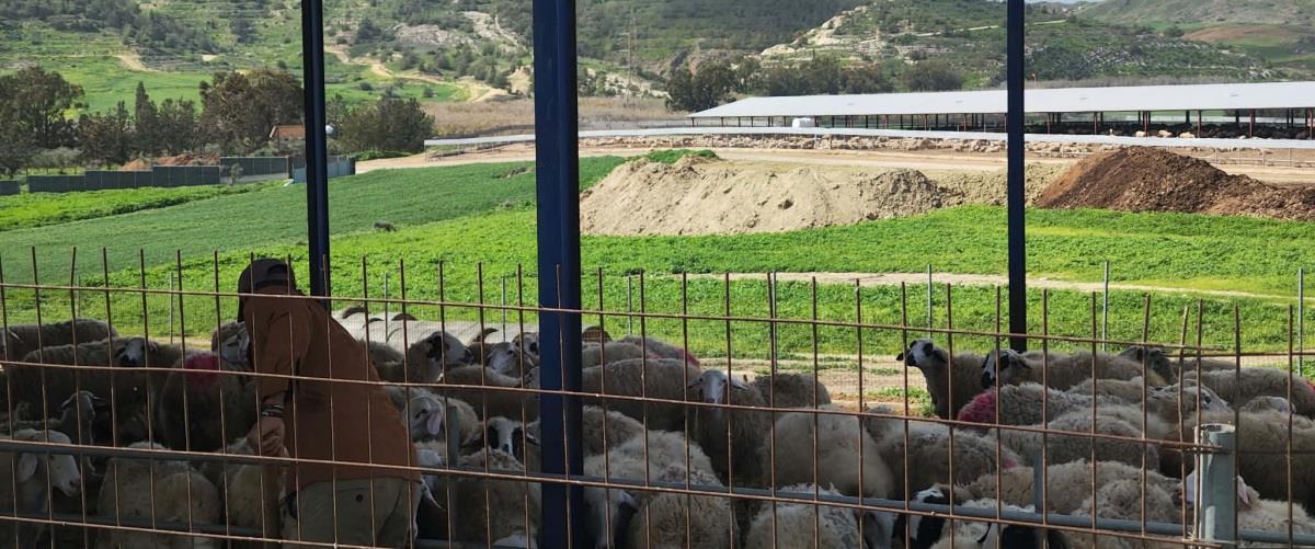 5419658262182746 image