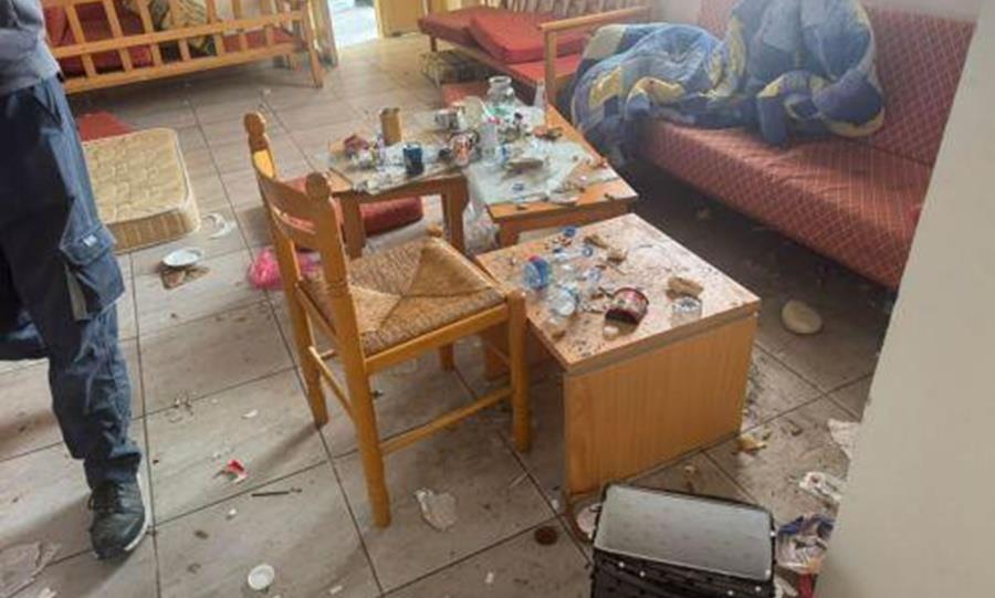 5419700113704011 cats