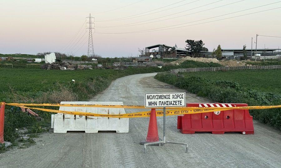 5419752267115180 image