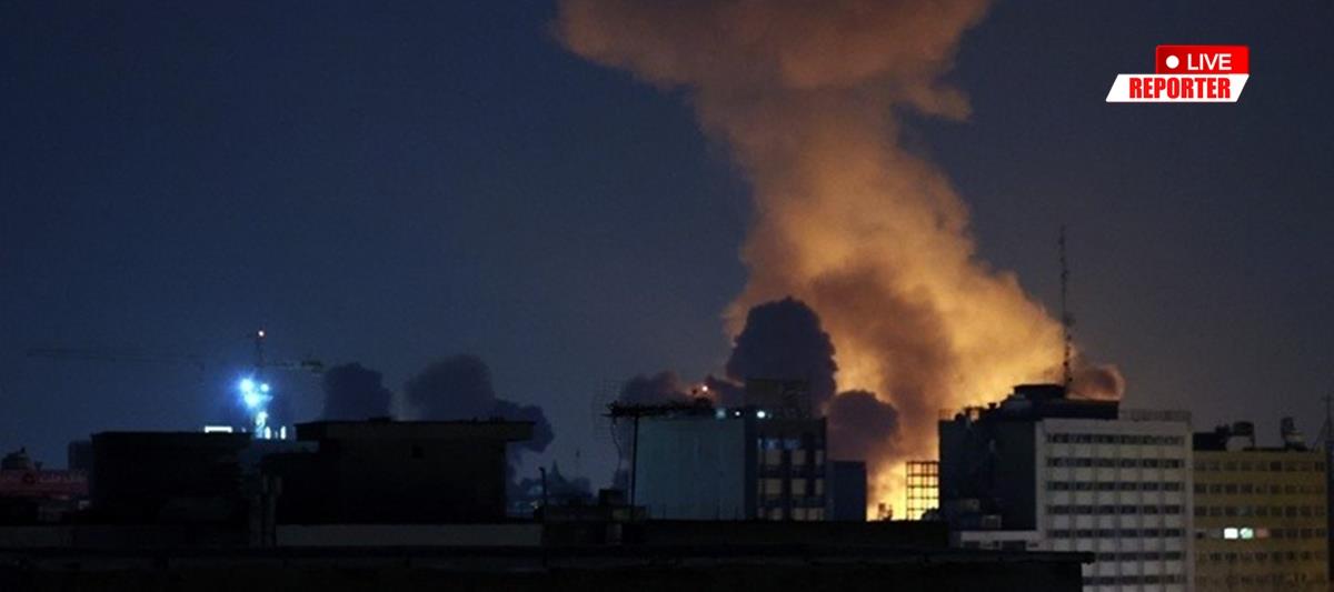 5420128327917684 cats