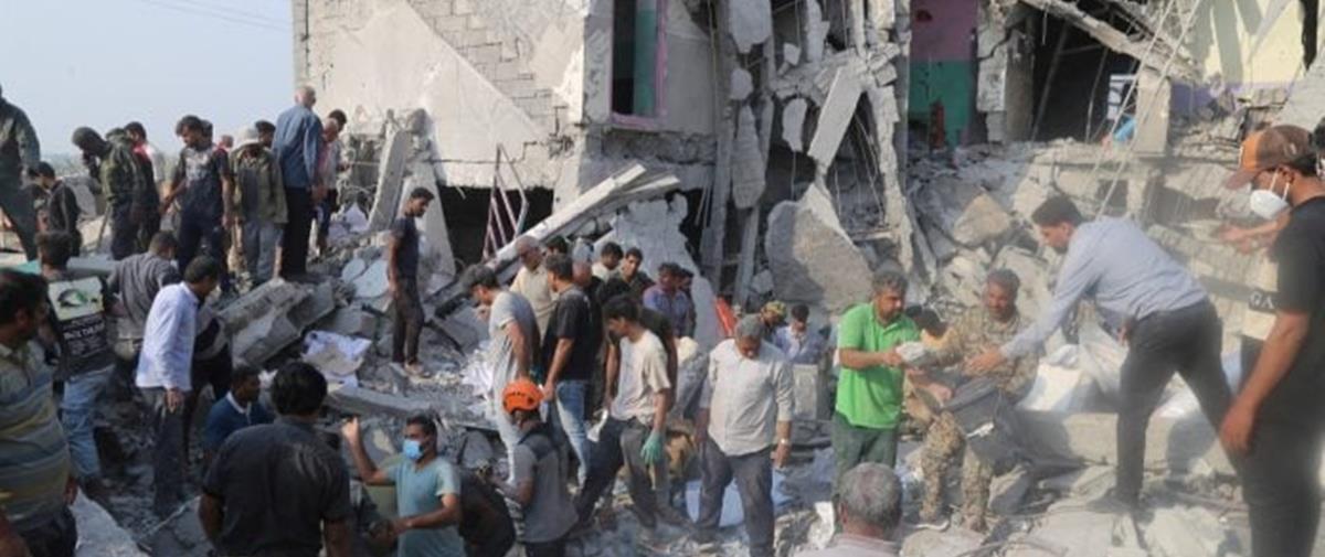 5420191848240996 cats