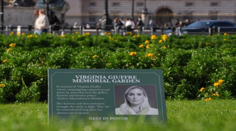 5420274763963862 ap26062383537380-768x512