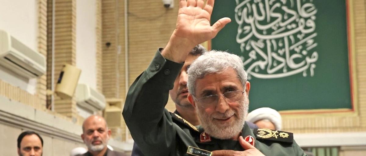 5420314876020519 cats