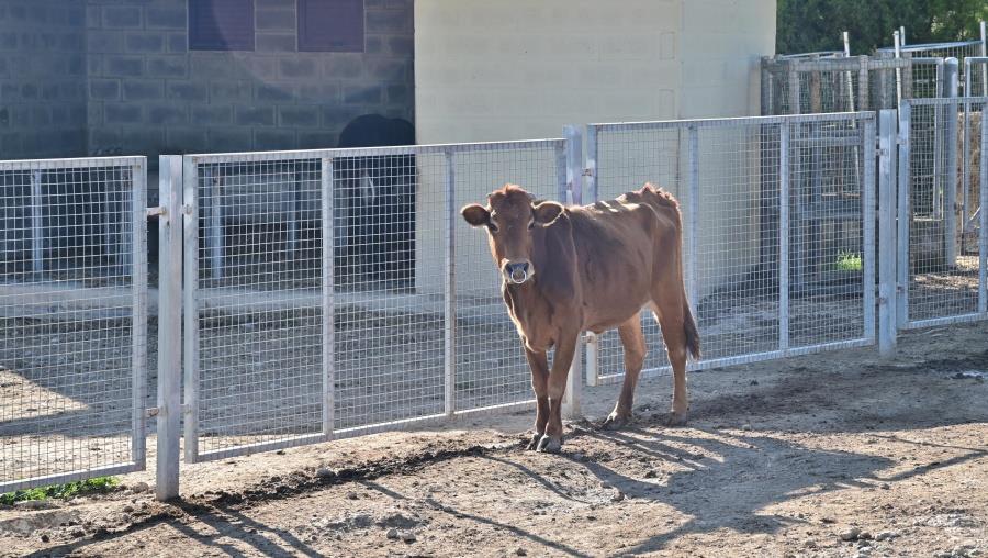 5420634867966294 ΑΝ2260306.01 Κλειστό προληπτικά το ΚΠΕΕ Αθαλάσσας (2)