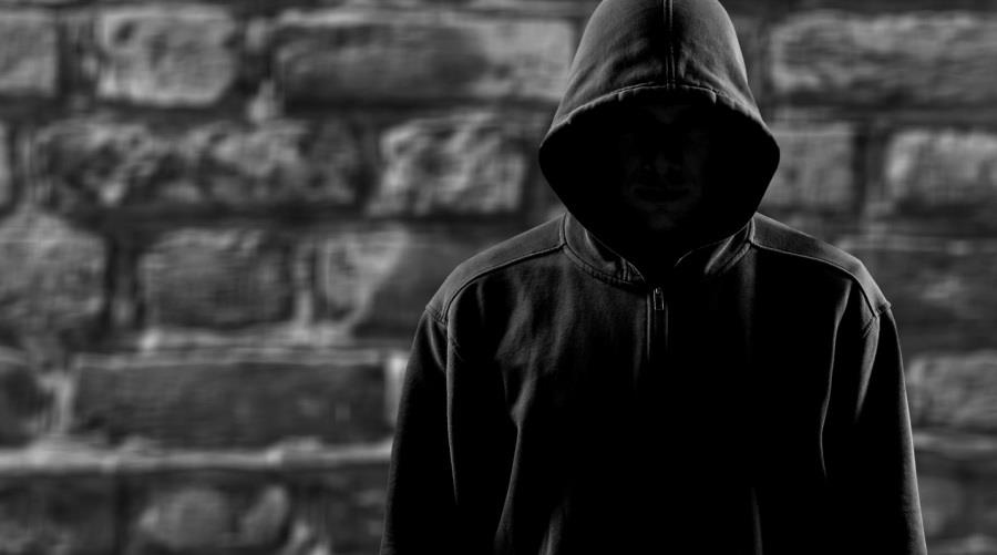 5420992384688764 burglar