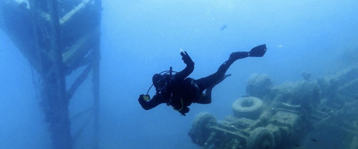 5421295372237242 zinobia 3 2018 img 7397-1