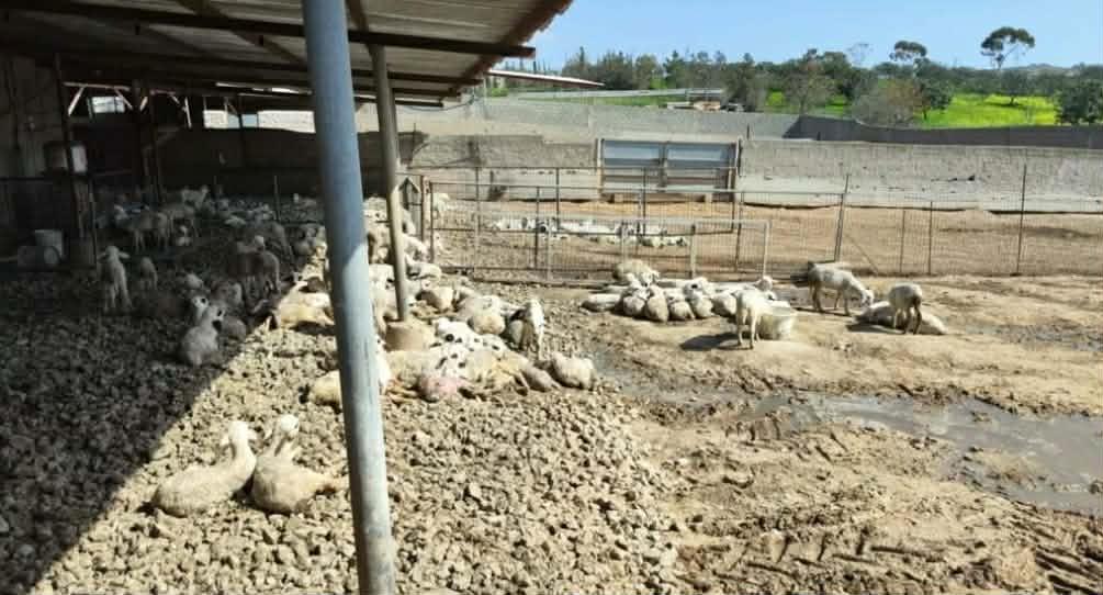 5421404663424635 639285314 1457246605757421 8234075732848495569 n