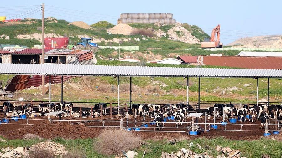 5421954988382914 b bagelades-3