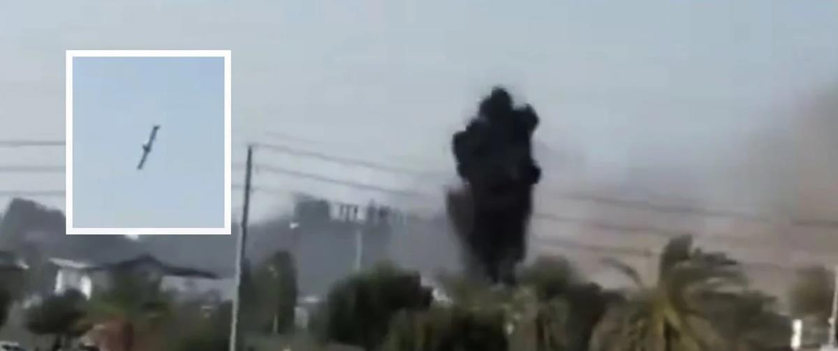 5422786035118528 cats