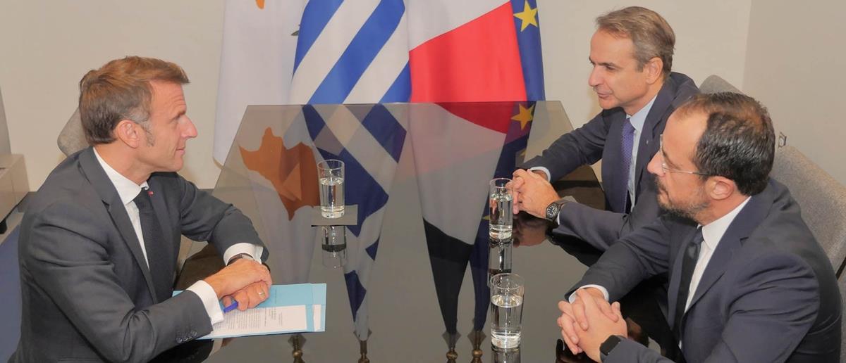 5422867415471040 cats