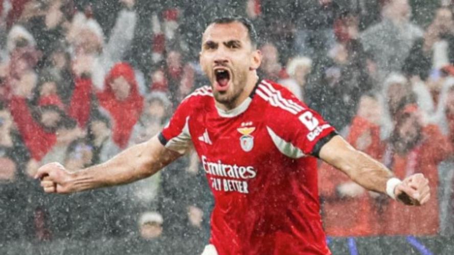 5423107043897406 image