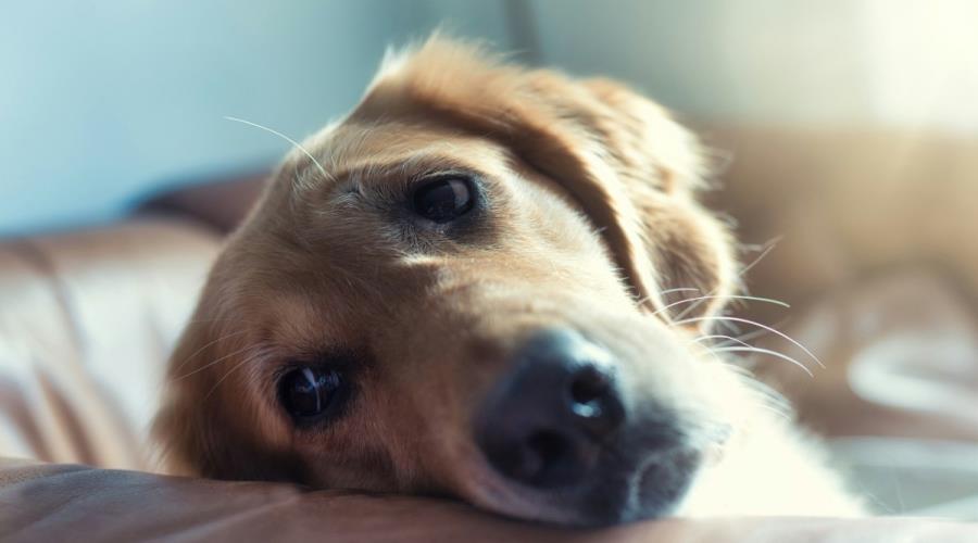 5423235945903917 regine-tholen-8LZCvlyQ8hY-unsplash-1200x801