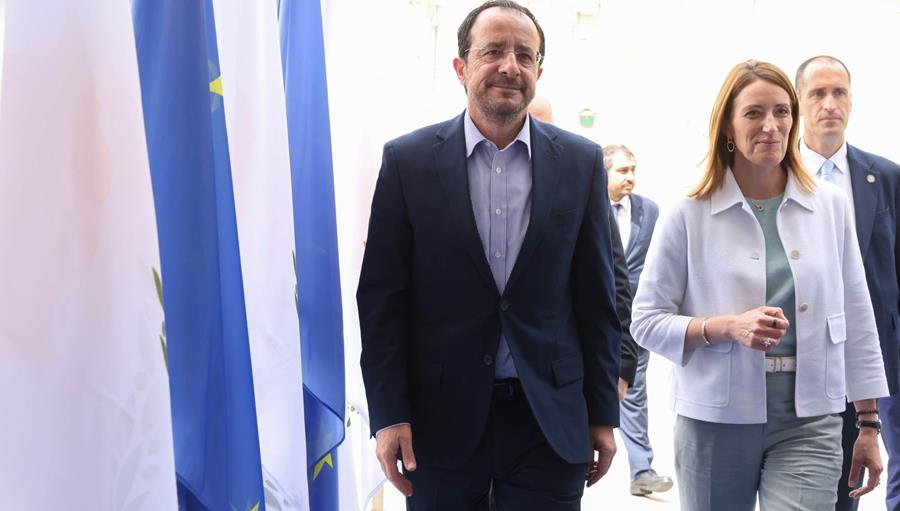 5423630151273901 cats