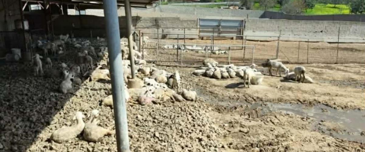 5423685231241466 639285314 1457246605757421 8234075732848495569 n