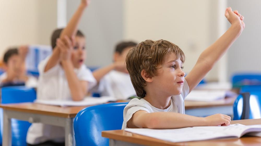 5423837665034554 english school