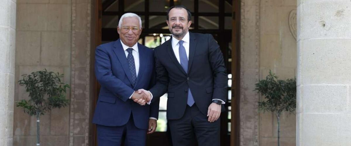 5423864465005252 cats