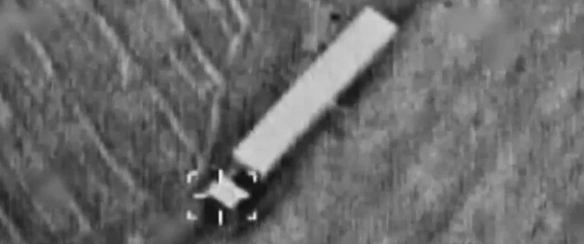 5423953602753503 cats