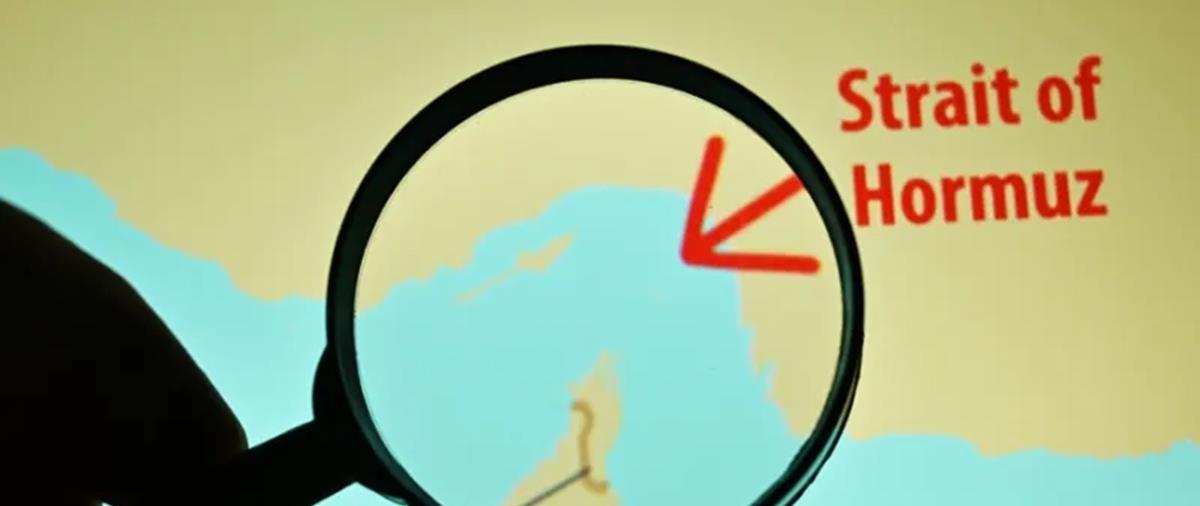 5424106064063223 cats