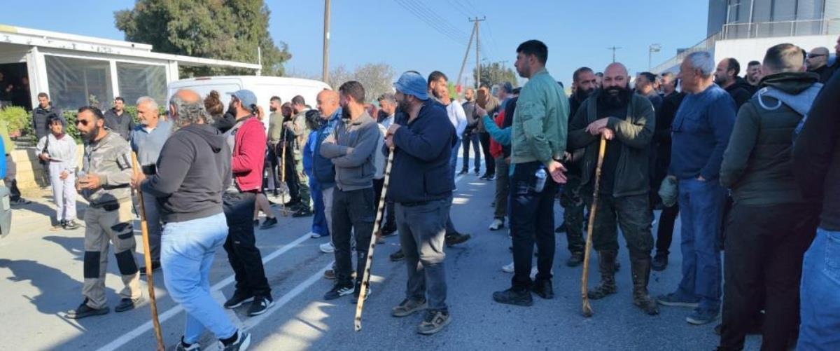 5424767112161365 cache 980x980 Analog medium 1395936 853387 26 03 11 105230