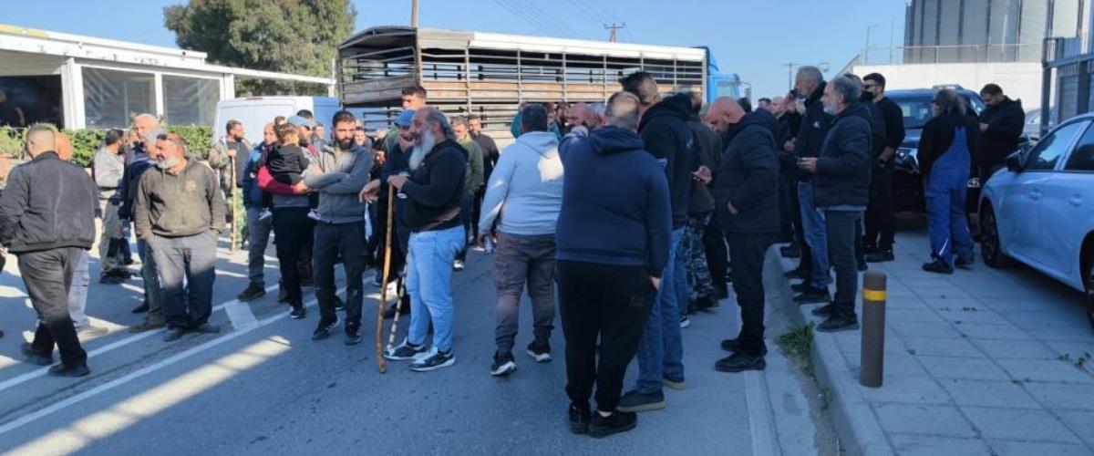 5425433880747714 cache 980x980 Analog medium 1395935 811663 26 03 11 105228