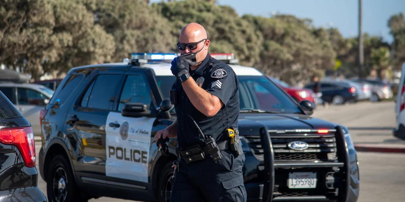 5425717656177353 image