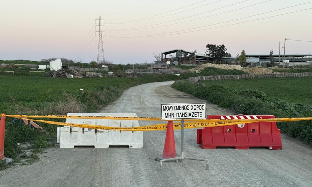 5425818140555260 image