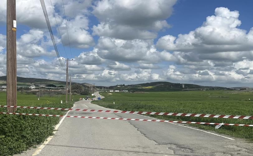 5425854930619737 image