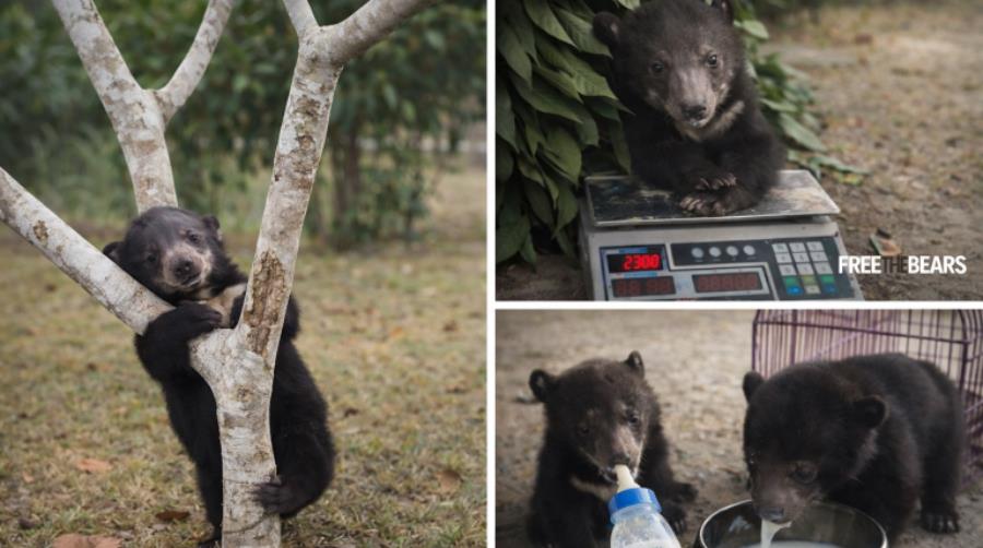 5426333736200721 arkoudakia-reuters-768x512