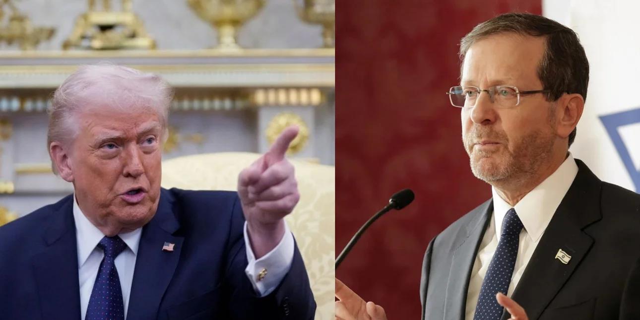 5426540440223204 image