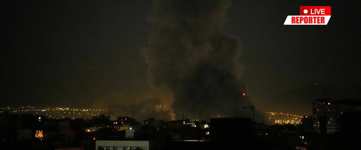 5427041612836451 cats