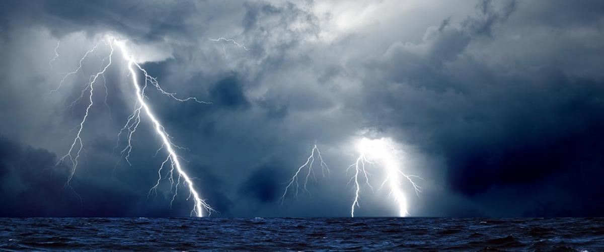 5427051636454922 cats