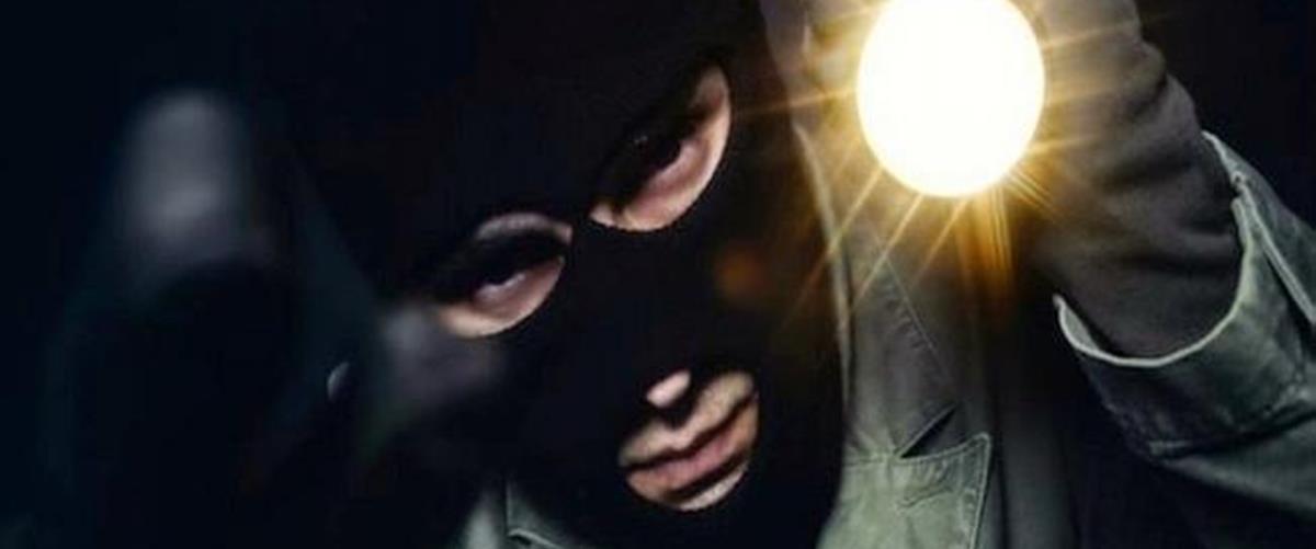 5427123114807027 cats