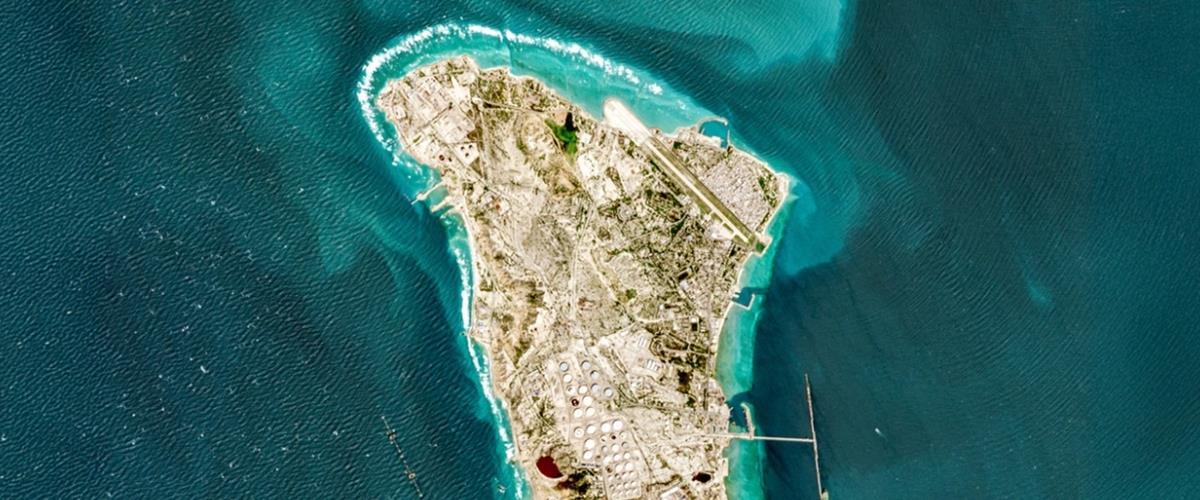 5427311164015212 cats