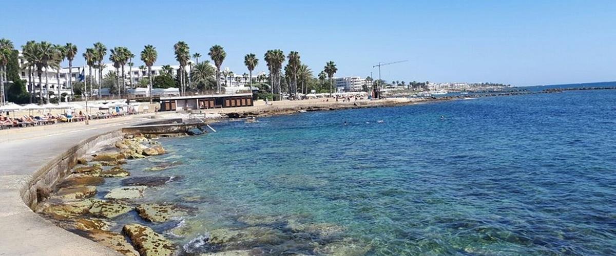 5427393249346425 cats