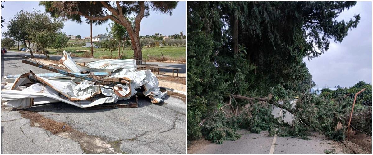 5427439202426418 page