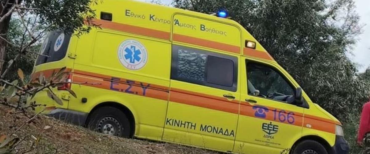 5427486195320127 cats