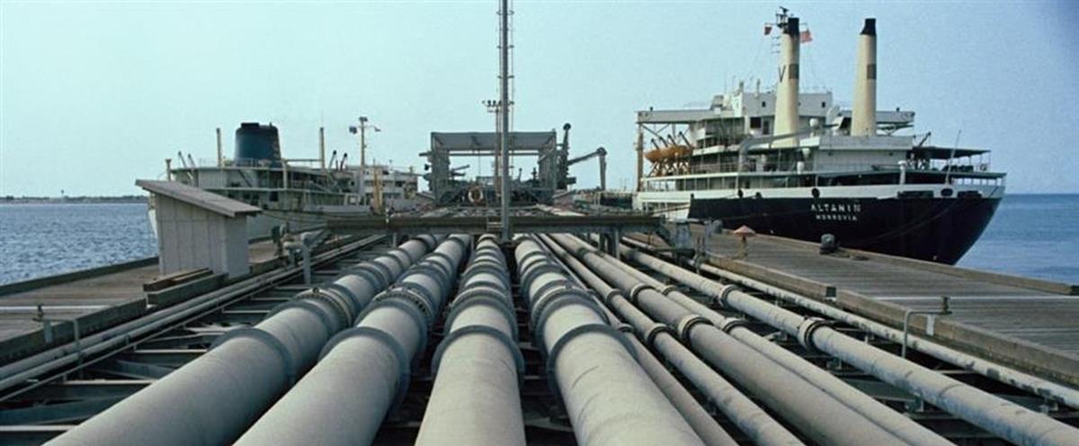 5427499935658811 cats