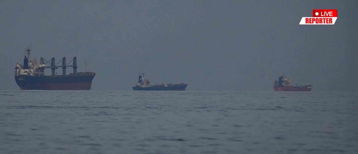 5427907034266544 cats