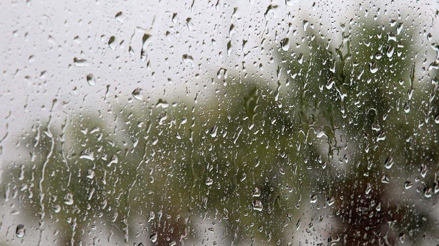 5427910975622665 image