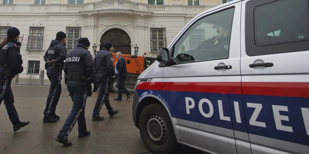 5427921724265499 image