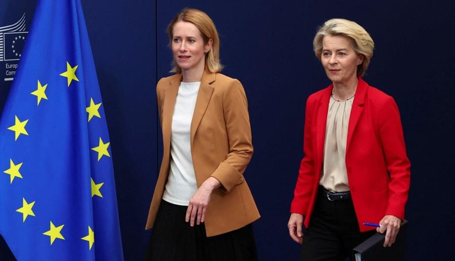 5427975946305728 cats