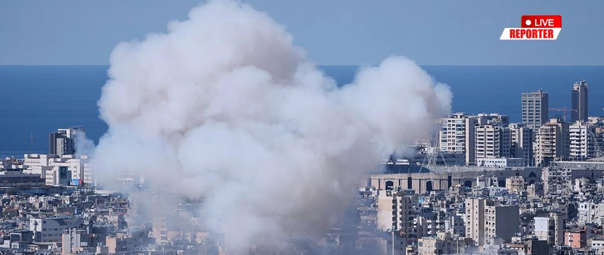 5428000907885299 cats