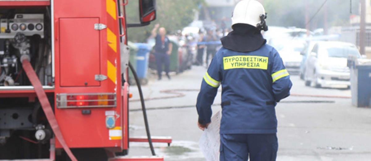 5428010506190787 cats