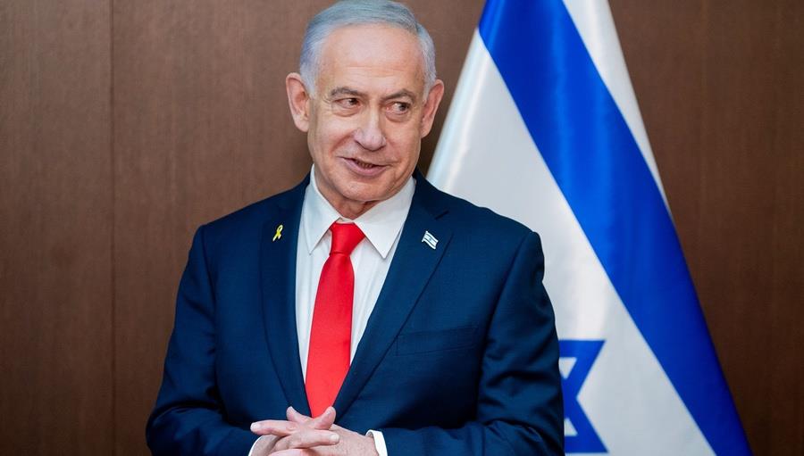 5428076967463615 cats