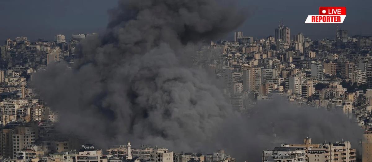 5428080526542276 cats