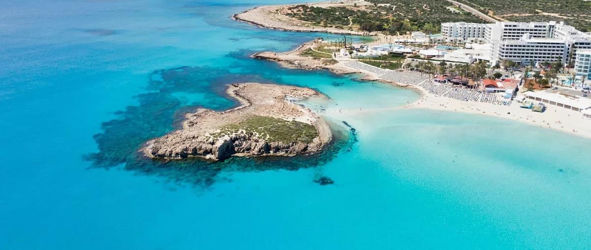 5428206733242505 cats